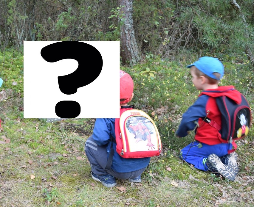 Co dzieci znalazły w lesie? [ZDJĘCIE CZYTELNIKA]