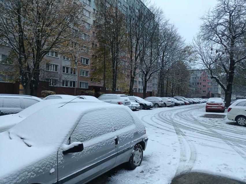 Opady śniegu we Wrocławiu. Jak miasto przygotowane jest do zimy? Jak długo będzie sypać?
