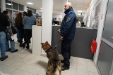 Krakowscy Strażnicy Miejscy przyjechali pod schronisko wystawiać mandaty i przygarnęli psa 