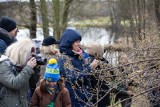 Zwiedzali botanik w Myślęcinku. To był spacer po jednym z największych ogrodów w Polsce - zdjęcia