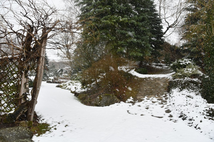 Rusza Ogród na Rozstajach w Młodzawach Małych. Jest pokryty śniegiem. Zobacz zdjęcia