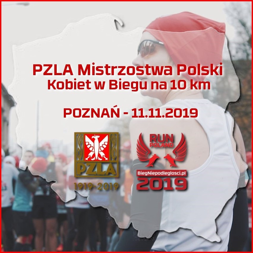 11 listopada po raz czwarty w Poznaniu wystartuje Bieg...