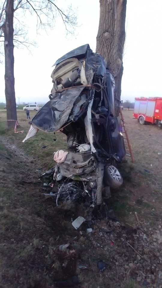 Auto roztrzaskało się na drzewie. Młody mężczyzna nie żyje, drugi walczy o życie 