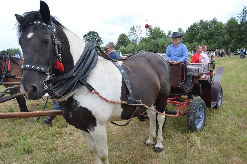 Piknik w Obojnej z galopującymi końmi i pokazami kawaleryjskimi [ZDJĘCIA]