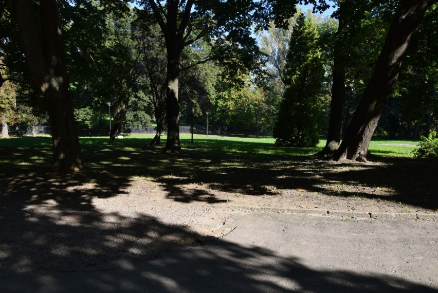 Park przy pałacu Wielopolskich w Częstocicach przejdzie rewitalizację. Co zostanie zrobione?