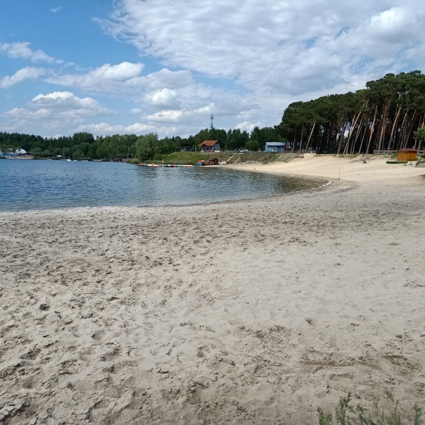 Nowości w Kryspinowie. Nad zalewem powstały plaża dla psów, boiska do piłki plażowej, jacuzzi i… sauna ZDJĘCIA