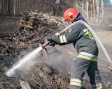 Pożar lasu w gminie Głowno