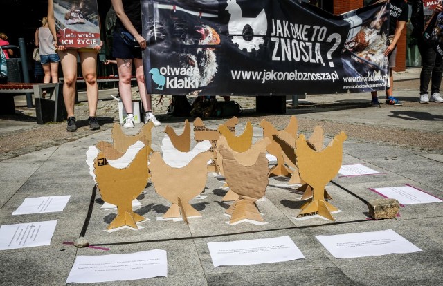 Protest w obronie kur przed Madisonem w Gdańsku8.08.2020
