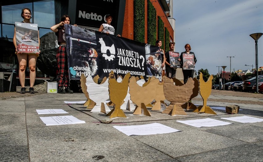 Protest w obronie kur przed Madisonem w Gdańsku8.08.2020