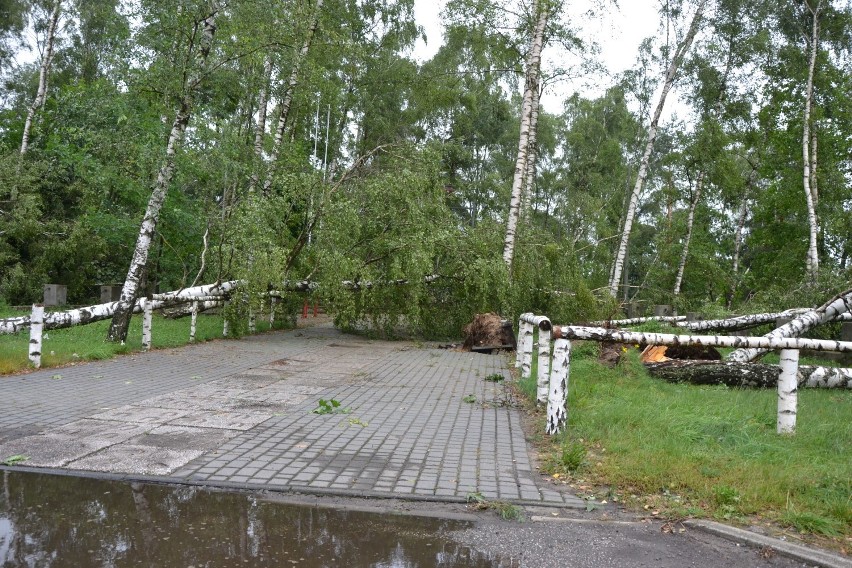 Tragedia w Suszku na Pomorzu. Zginęli harcerze z Łódzkiego