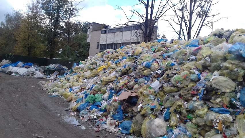 Nowy Sącz. Z pejzażu miasta zniknęło ponad tysiąc ton śmieci. Urząd nie zapłacił za to nawet złotówki