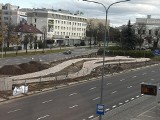 Budują Ogród Wolności między jezdniami alei IX Wieków Kielc. Już widać alejki. Zobacz postęp prac