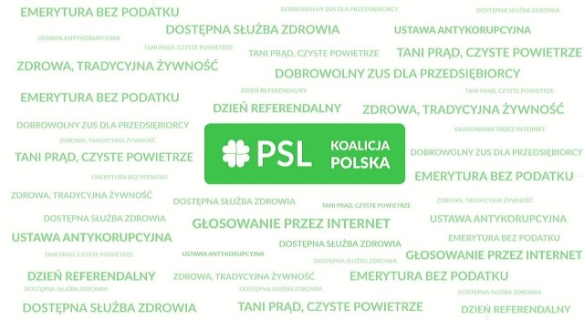 Prawdopodobnie w najbliższy piątek komitet wyborczy Polskie Stronnictwo Ludowe - Koalicja Polska zaprezentuje kompletną listę dziesięciu kandydatów, którzy w okręgu wyborczym numer 23 (rzeszowsko-tarnobrzeskim) powalczą o poselskie mandaty. My nieoficjalnie poznaliśmy nazwiska pięciu kandydatów, którzy na pewno znajdą się na niej. Oto oni.