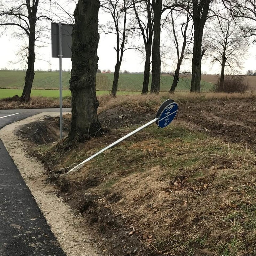 Ścieżka rowerowa w Kochłowicach, prowadząca do grodu...