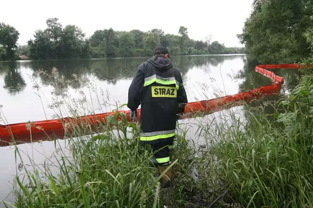 Strażacy oceniają, że zebranie całej substancji potrwa kilka godzin.