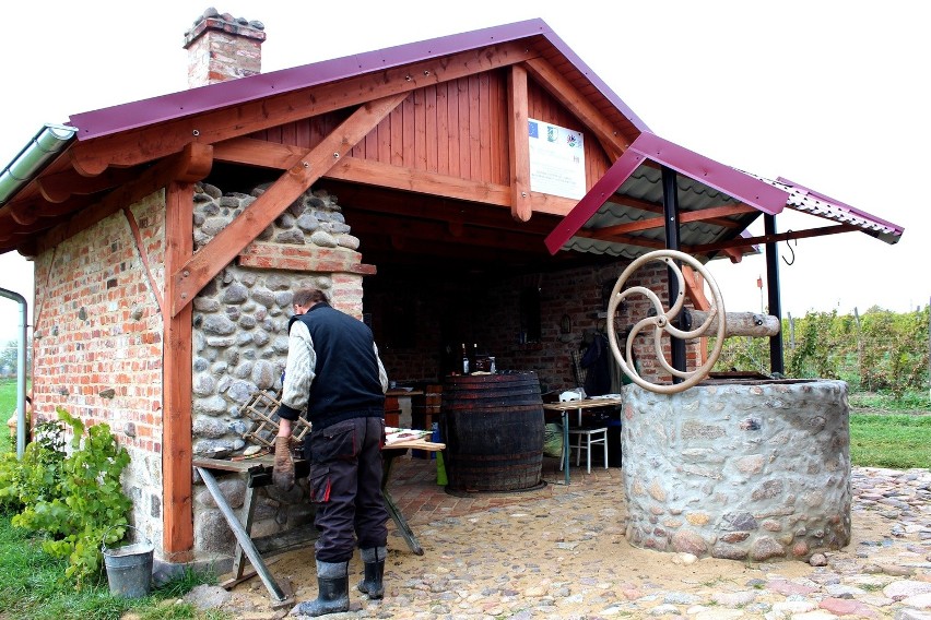 Winnica "Cantina" należąca do państwa Mariusza i Karoliny...