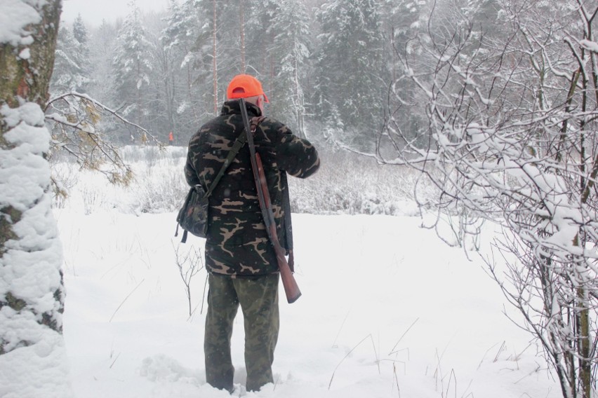 Aktywiści zablokowali polowanie na granicy Bytomia i...