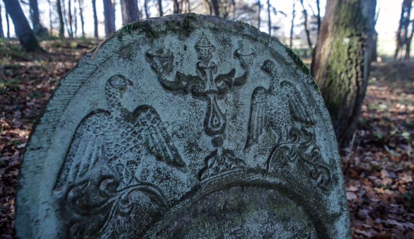 Cmentarz żydowski w Kolbuszowej według niektórych źródeł historycznych powstał w XVIII w. Zobaczcie, jak teraz wygląda 