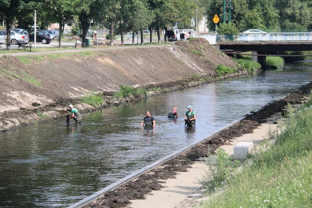 Trwa drugi etap przebudowy bulwarów nad Przemszą w Będzinie