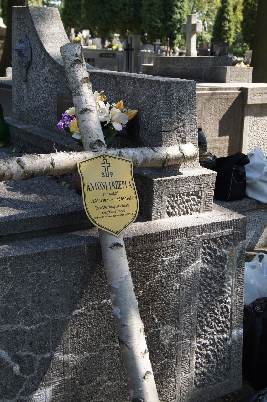 Tarnów. Rozkopali grób na cmentarzu w Krzyżu. Szukają szczątków Żołnierza Wyklętego