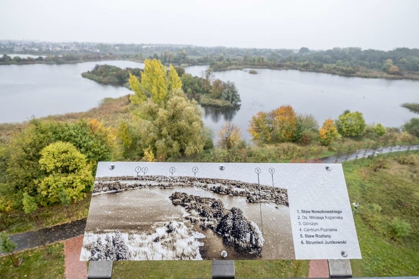 Szachty znajdują się w dolinie Strumienia Junikowskiego w...