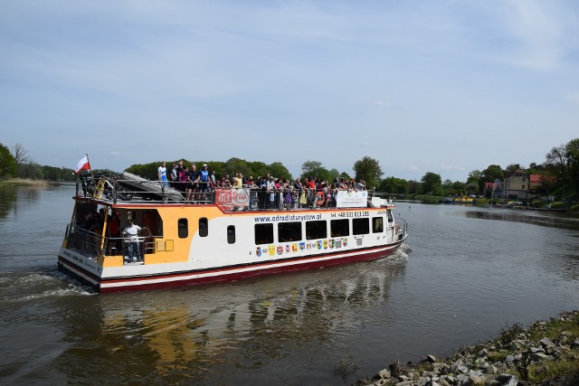 Lagunę coraz częściej można spotkać na Odrze