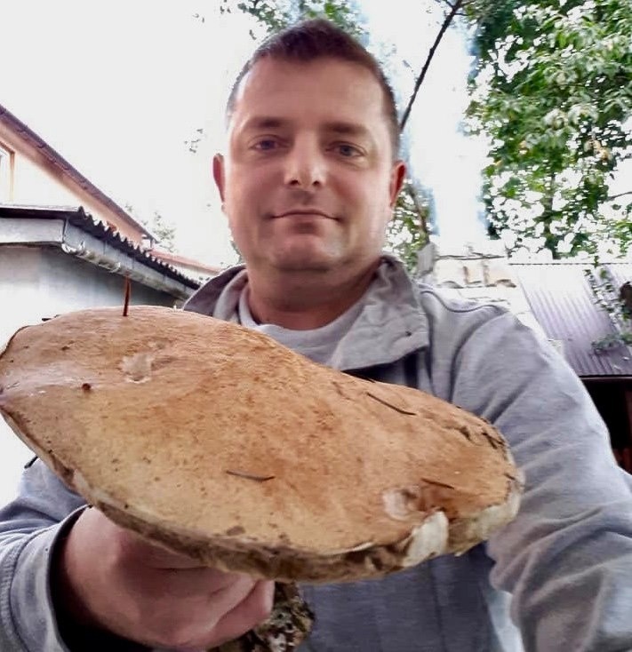 W Gorcach znalazł grzyba giganta. Tob blisko kilogramowy...