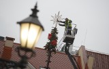 W Rzeszowie rozpoczął się montaż świątecznych dekoracji. Na Rynku ustawiana jest olbrzymia choinka [ZDJĘCIA]