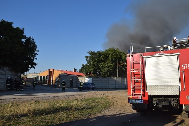 Pożar wysypiska śmieci w Mostkach koło Zduńskiej Woli