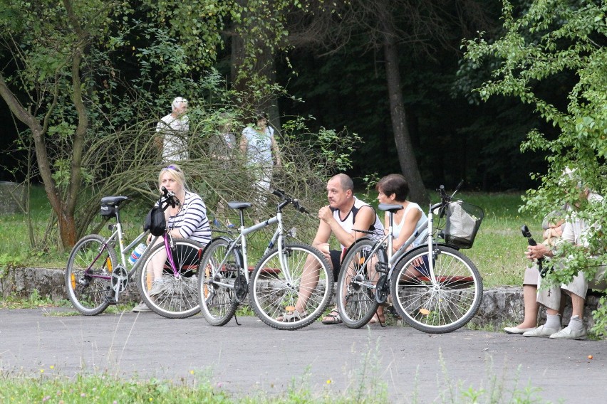 Tak dziś wygląda park Zielona w Dąbrowie Górniczej