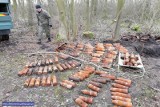 Drwal znalazł w lesie 160 pocisków przeciwpancernych