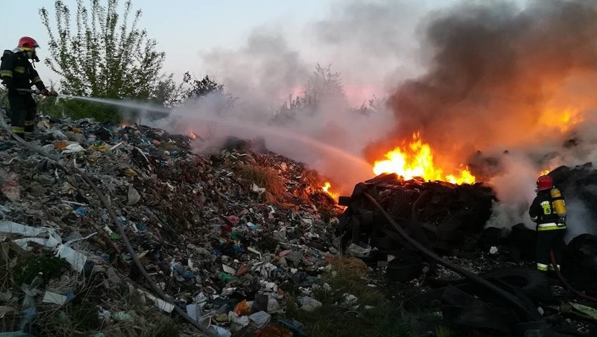 Pożar wysypiska śmieci przy ul. Kamiennej w Policach [ZDJĘCIA]