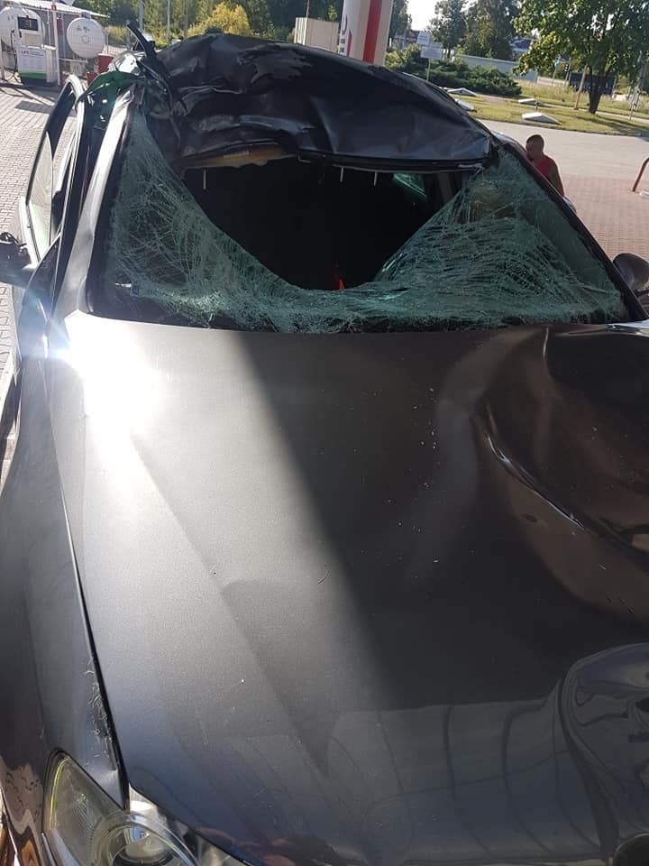 Policjant zginął, gdy w jego samochód uderzył jeleń.