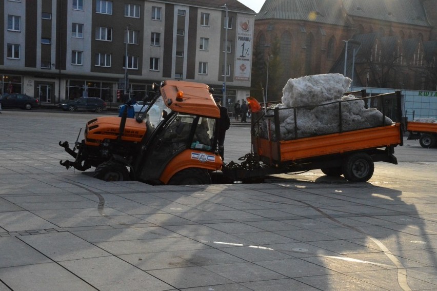 Do nietypowego zdarzenia doszło w poniedziałkowe popołudnie...