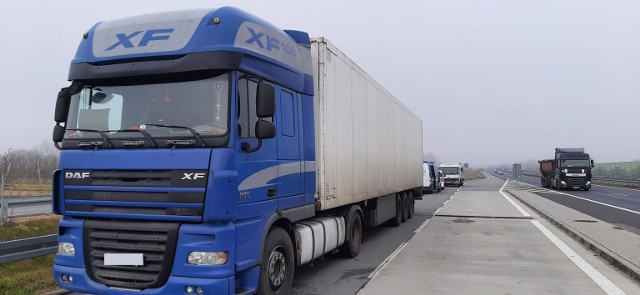 W punkcie kontrolnym w Zaborowie zatrzymano dwie ciężarówki.