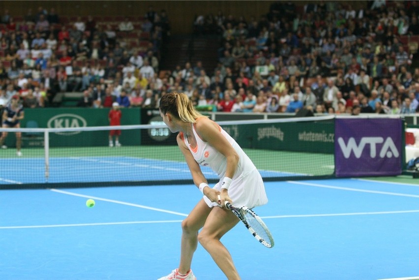 WTA Madryt: Bouchard - Radwańska [TRANSMISJA LIVE, NA ŻYWO,...