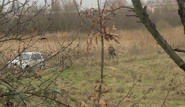 Mężczyzna z bronią przechadzał się nieopodal Schroniska dla Bezdomnych Zwierząt we Wrocławiu