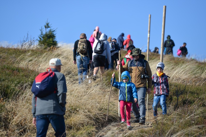 Nasz fotoreporter wybrał się w niedzielę w Bieszczady. Z...