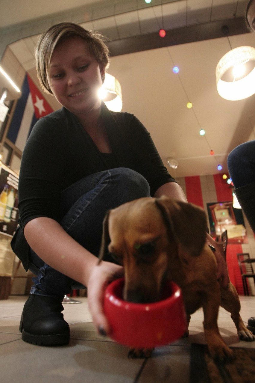 Restauracja kubańska La Habana przy ulicy 9 maja...