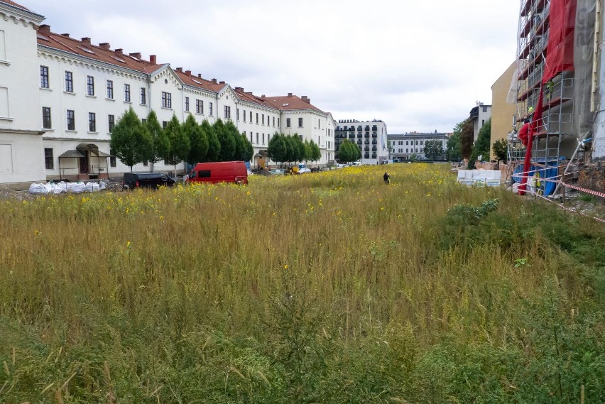 Kraków. Co tam z parkiem przy Karmelickiej. Kiedy zakończenie prac?