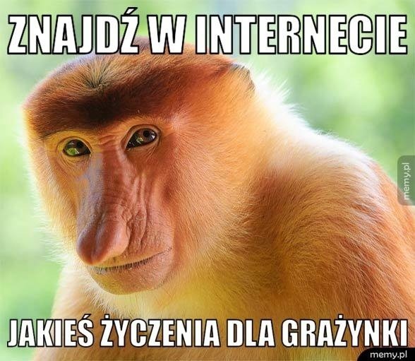 Wielkanoc w dobie koronawirusa. Te MEMY nieco rozładują napięcie. Uśmiechnij się! Memy świąteczne poprawią ci humor [13.04.2020]