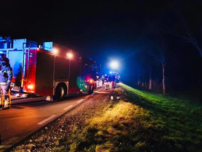 Wypadek w Dobrzyniewie Dużym. Potrącenie łosia na DK 65