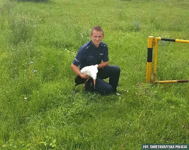 Policjanci odnaleźli bociana i przekazali go do ptasiego azylu
