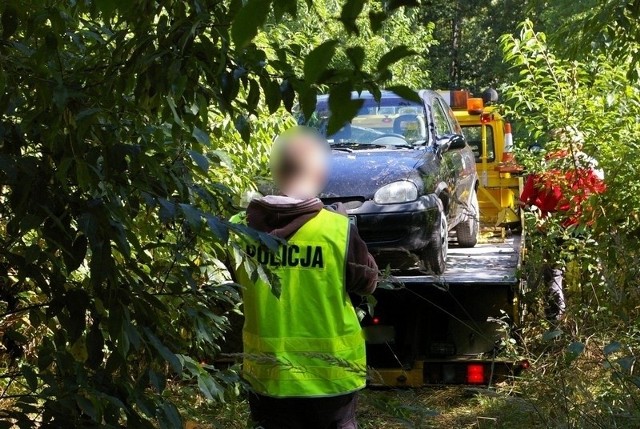 Skradzione samochody bracia ukrywali w lesie.