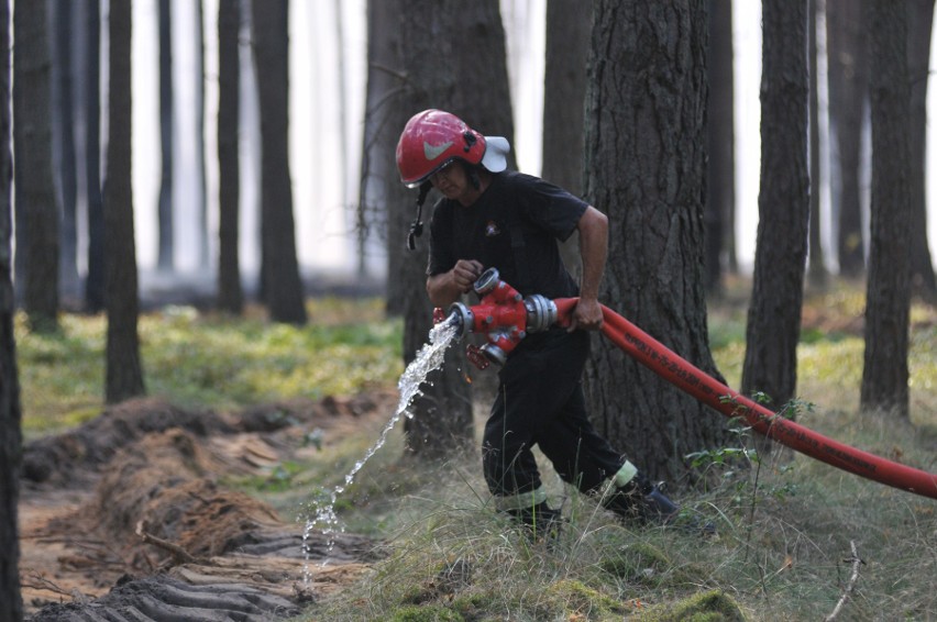 Pożar lasu w okolicy Glinika i Bolemina. 8 sierpnia 2018...