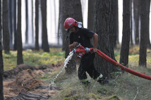 Pożar lasu w okolicy Glinika i Bolemina. 8 sierpnia 2018 rok.