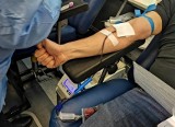 Wisła Kraków. Krwiodawcy „Białej Gwiazdy” zebrali już ponad 40 litrów krwi w tym roku