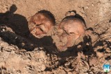 Obok przydrożnej kapliczki we wsi Mątwica odkryto ludzkie szczątki