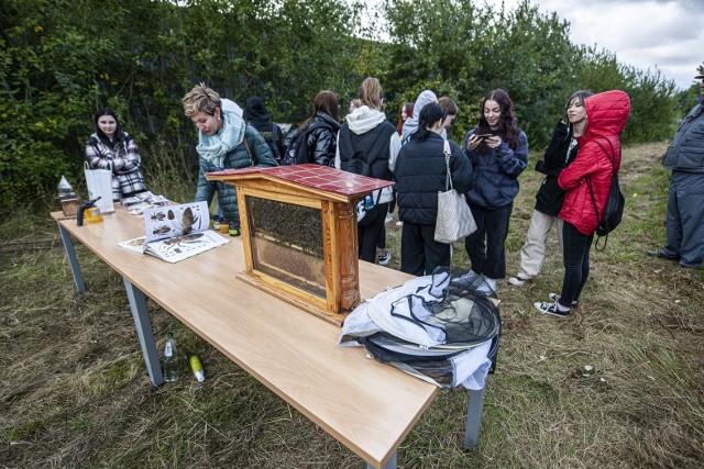 Pasieka MPS International jest pierwszą, która zaczęła działać w Koszalinie na terenie zamkniętego zakładu przemysłowego. Pszczoły są tu bezpieczne, a na terenie firmy organizowane są lekcje przyrody dla dzieci, młodzieży i seniorów.