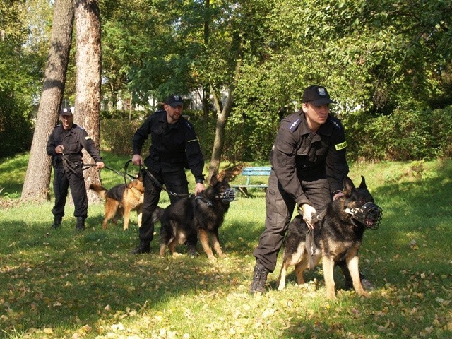 Wielkopolska: Psy policyjne zdawały egzamin